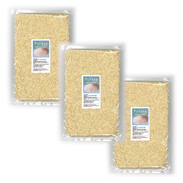 国産もち麦 キラリもち麦 1kg×3袋<BR>栽培期間中農薬完全不使用で育てられた四国香川県のもち麦<br>水溶性食物繊維が豊富、時間が経っても茶色くなりにくいもち麦【宅配便配送】 国産 もち麦 キラリ きらり もちむぎ きらりもち麦 食物繊維 麦ご飯 麦ごはん motimugi