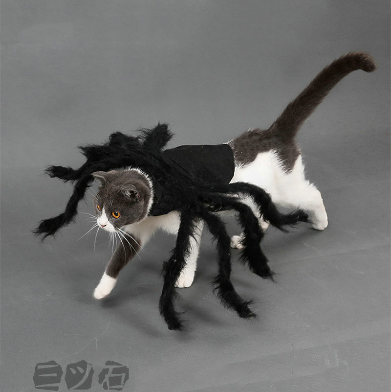 楽天市場 ペット 服 ハロウィン 仮装 クモ服 ペットグッズ ドッグウエア 小型犬 コスチューム ペット用 犬用 洋服 コスプレ ポンポン ドッグウェア ネコ ドッグ ウエア コスチューム クリスマス 衣装 仮装 犬用 猫用 キャットウエア 仮装 可愛い 三ツ石商事楽天市場店