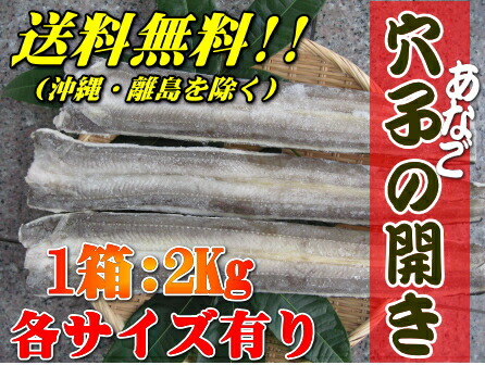 楽天市場 冷凍アナゴ開き2kg Sサイズ１８ ２０枚位 穴子 あなご 北海道 本州 四国 九州は送料無料 徳用 数量限定 三浦水産