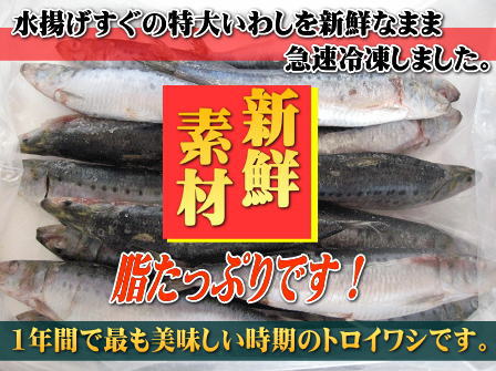 楽天市場 とろ特大いわし バラ冷凍 1箱2kg 鰯 イワシ 鰮 北海道 本州 四国 九州は送料無料 徳用 数量限定 三浦水産