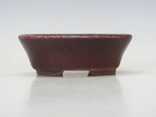 盆栽鉢 樹晃 楕円鉢 【作家鉢 盆栽小鉢 ギフト お買い得商品】 盆栽専門店 三浦培樹園