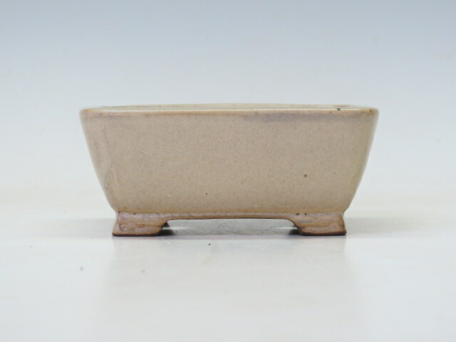 楽天市場】盆栽鉢 柴勝 長方鉢 【作家鉢 常滑焼 日本鉢 盆栽小鉢