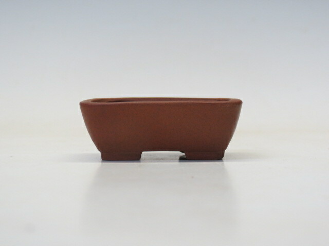 柴勝　長方　盆栽鉢 柴勝外縁隅切額面長方鉢 | 盆栽、盆栽書籍、盆栽鉢の通販│近代出版