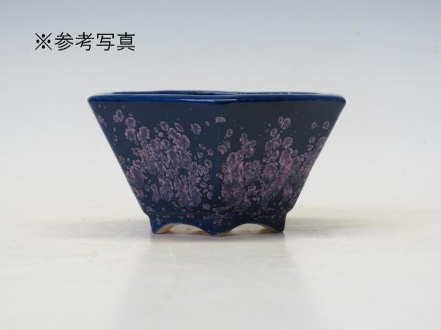 楽天市場】盆栽鉢 鴻陽 丸鉢 11【作家鉢 常滑焼 日本鉢 盆栽小鉢