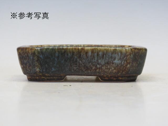 楽天市場】盆栽鉢 鴻陽 楕円鉢 32 【作家鉢 常滑焼 日本鉢 盆栽小鉢