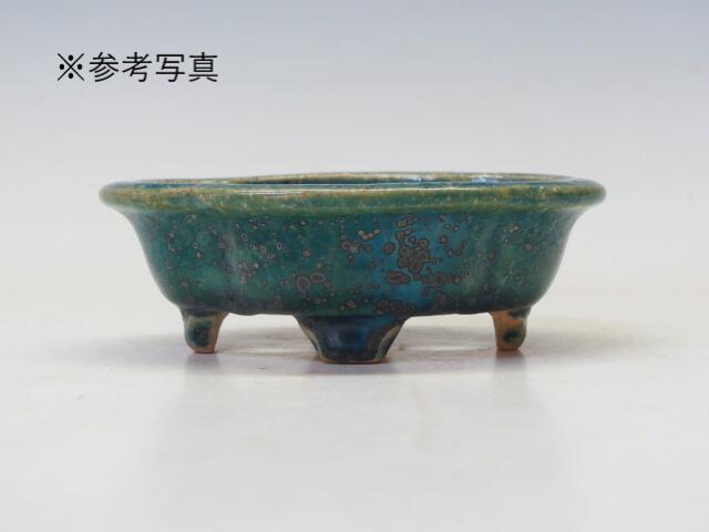 楽天市場】盆栽鉢 鴻陽 楕円鉢 32 【作家鉢 常滑焼 日本鉢 盆栽小鉢