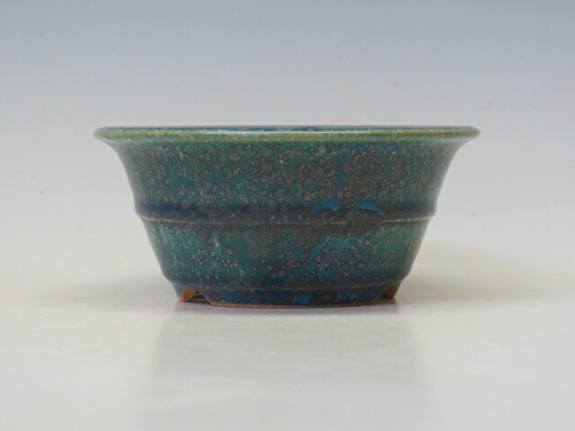 楽天市場】盆栽鉢 鴻陽 楕円鉢 31 【作家鉢 常滑焼 日本鉢 盆栽小鉢