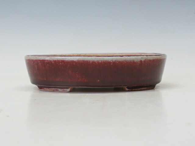 楽天市場】盆栽鉢 鴻陽 丸鉢 11【作家鉢 常滑焼 日本鉢 盆栽小鉢