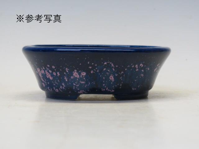 盆栽鉢　鴻陽 楽天市場】盆栽鉢 鴻陽 丸鉢 11【作家鉢 常滑焼 日本鉢 盆栽小鉢