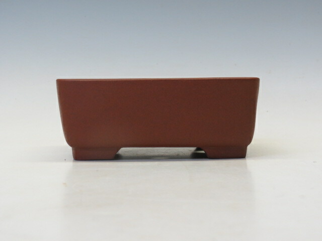 楽天市場】盆栽鉢 柴勝 長方鉢 【作家鉢 常滑焼 日本鉢 盆栽小鉢