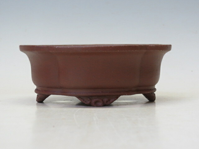 楽天市場】盆栽鉢 柴勝 隅切り長方鉢 【作家鉢 常滑焼 日本鉢 盆栽小鉢