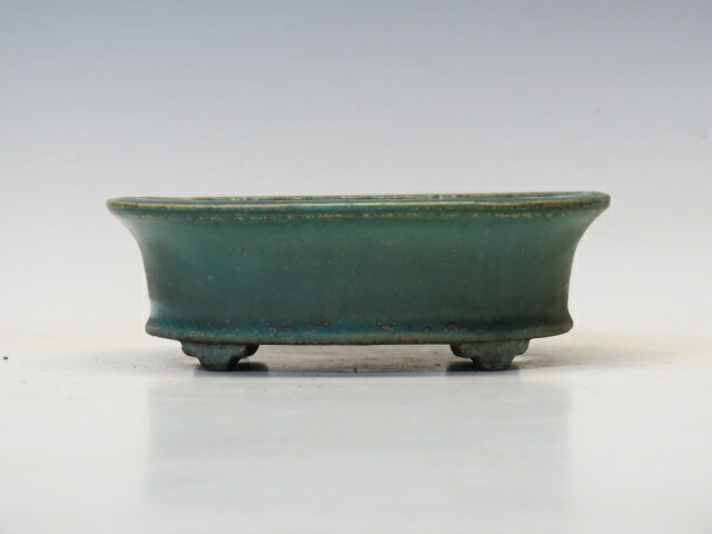 盆栽鉢 鴻陽 楕円鉢 作家鉢 盆栽小鉢 ギフト お買い得商品 盆栽専門店 三浦培樹園 写真との釉薬の違いや サイズなど若干の違 Painandsleepcenter Com