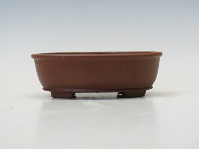 楽天市場】盆栽鉢 柴勝 長方鉢 【作家鉢 常滑焼 日本鉢 盆栽小鉢