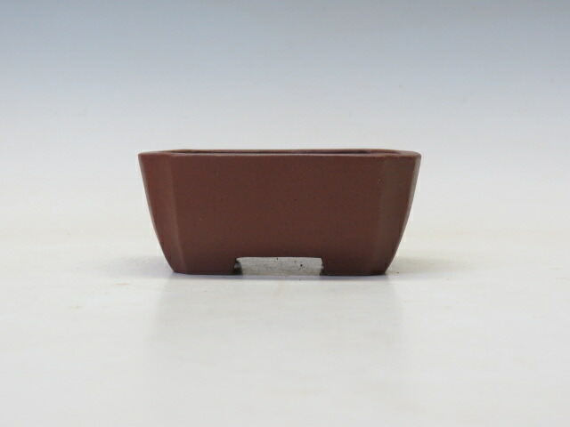 楽天市場】盆栽鉢 町直 丸鉢 【作家鉢 盆栽小鉢 人気商品 送料・代引