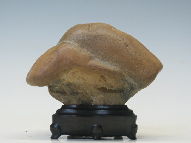 楽天市場】水石 瀬田川 虎石 【水石 盆石 自然石 人気商品 送料・代引