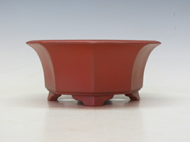 楽天市場】盆栽鉢 「壱興紅泥木瓜式鉢」 植木鉢 作家鉢 一弘 壱興造記