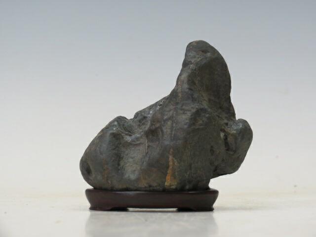 187 盆栽　揖斐川石　インテリア　水盤付き 楽天市場】盆栽鉢 盆栽用付石 「揖斐石」 水石 いびいし イビイシ