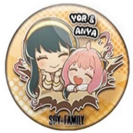 SPY×FAMILY アクリルキーチェーン　ラバーマスコット　他　25個セット SPY×FAMILY みあげてすたぁラバーキーホルダー BOXver.｜商品