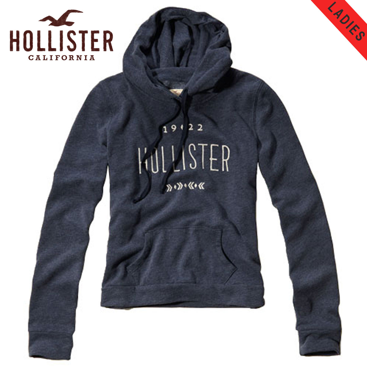 hollister ladies hoodie