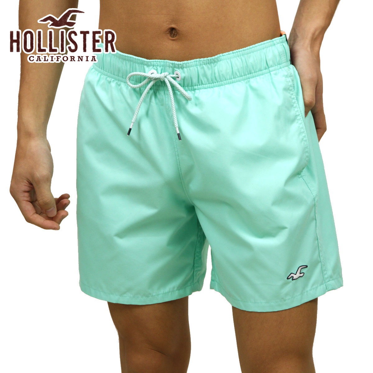 hollister mens swim trunks