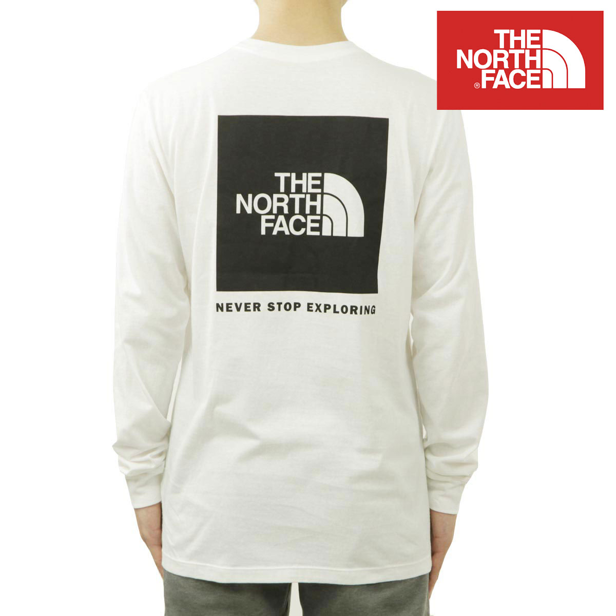 ノースフェイス メンズ ロンT 正規品 THE NORTH FACE バックプリント 長袖Tシャツ 海外限定 LONG SLEEVE BOX NSE TEE NF0A87NN FN4 WHITE