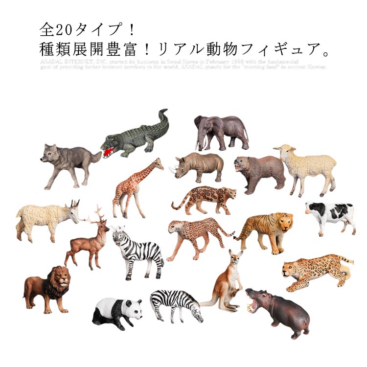 楽天市場】はじめてのワイルドライフセット 42387 動物
