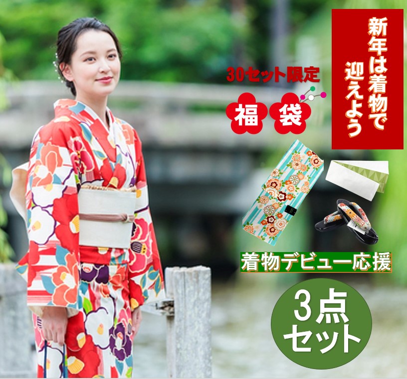 洗えるお召しもの 福袋 レディース 小紋 お召しもの仕掛ける 3点フルセット 未経験者楽になること M/L 制限事項30仕掛ける