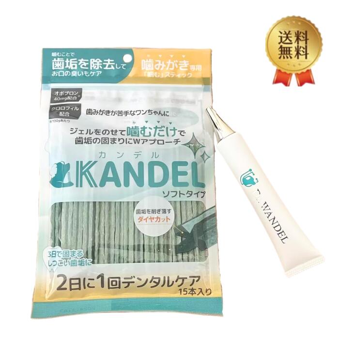 楽天市場】ドクターワンデル プラス & カンデル セット 犬用 歯磨き