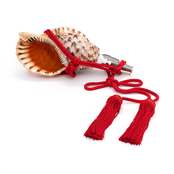 楽天市場】【 伊勢 宮忠 】【 No.75 法螺貝（ほら貝） 14インチ