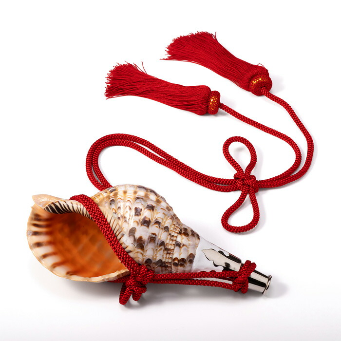 楽天市場】【 伊勢 宮忠 】【 No.76 法螺貝（ほら貝） 14インチ 】全長