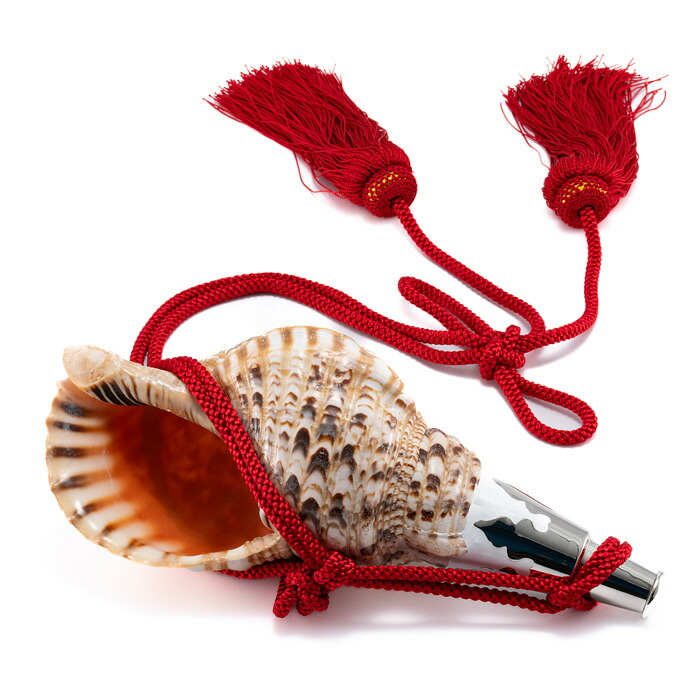 楽天市場】【 伊勢 宮忠 】【 No.76 法螺貝（ほら貝） 14インチ 】全長