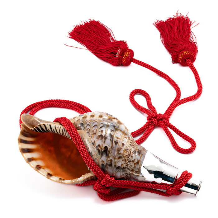 楽天市場】【 伊勢 宮忠 】【 No.12 法螺貝（ほら貝） 大型 】全長40.9