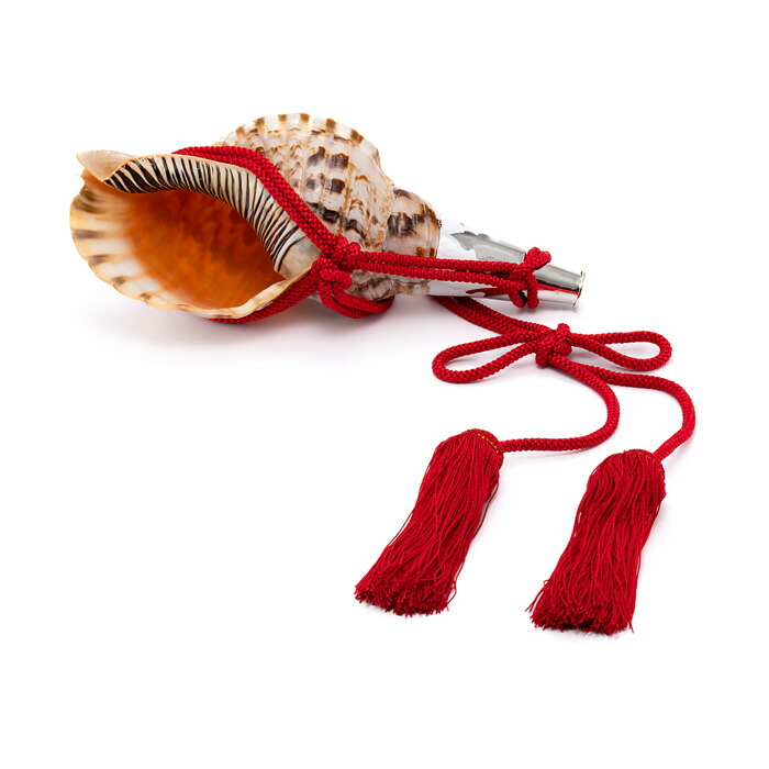 楽天市場】【 伊勢 宮忠 】【 No.76 法螺貝（ほら貝） 14インチ