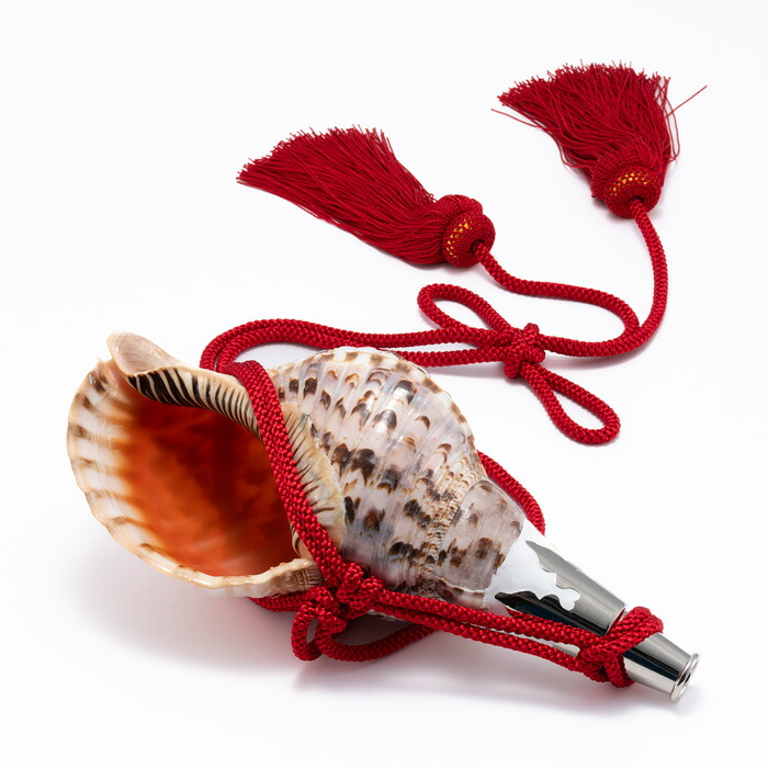 楽天市場】法螺貝・歌口付 サイズ35cm-37cm 真言タイプ : 和楽器総合