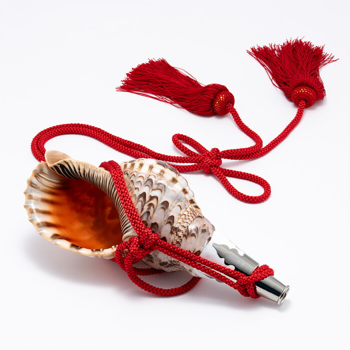 楽天市場】【 伊勢 宮忠 】【 No.76 法螺貝（ほら貝） 14インチ 】全長