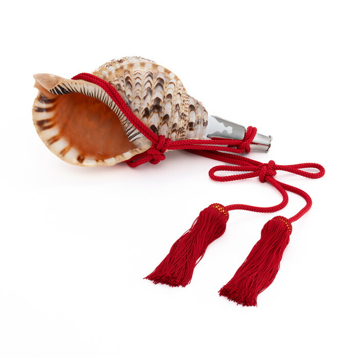 楽天市場】法螺貝・歌口付 サイズ44cm-46cm 天台タイプ : 和楽器総合