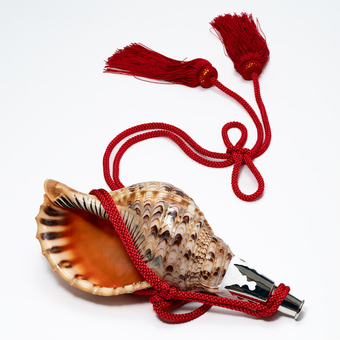 楽天市場】【 伊勢 宮忠 】【 No.12 法螺貝（ほら貝） 大型 】全長40.9