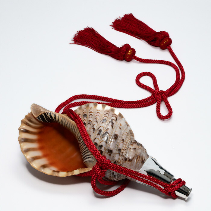 楽天市場】【 伊勢 宮忠 】【 No.76 法螺貝（ほら貝） 14インチ 】全長