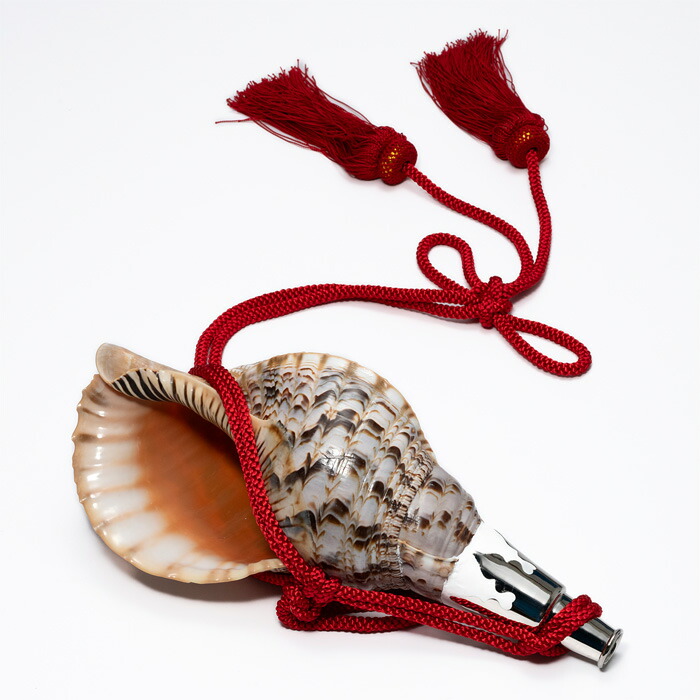 楽天市場】【 伊勢 宮忠 】【 No.75 法螺貝（ほら貝） 14インチ 】全長