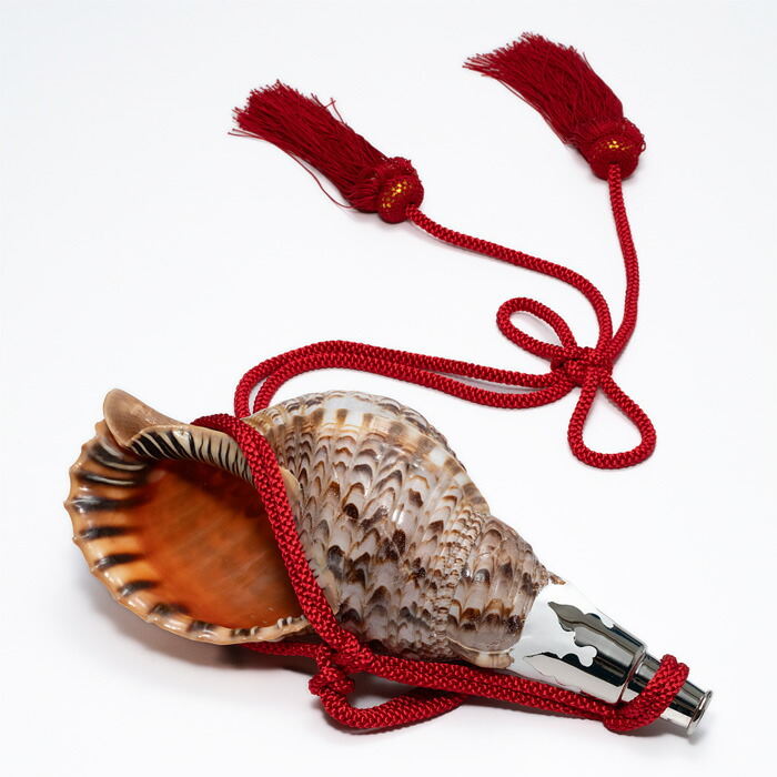 貝殻楽器 赤い紐付き 約20cm 江戸打ち紐 両房紐 中太 赤色 （中太：長さ89cm 太さ4mm） : いち藤