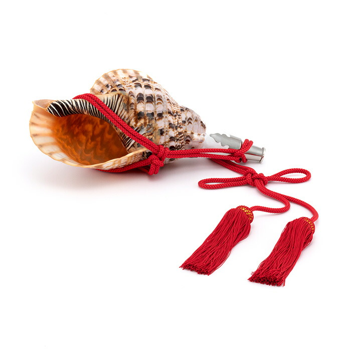 法螺貝３個セット js-hg15-sl-47.jpg