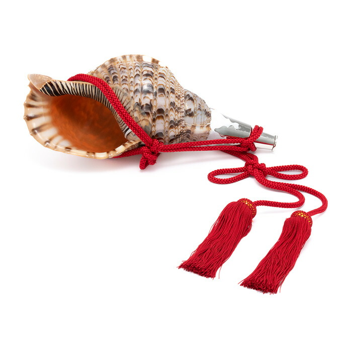 法螺貝 約35㎝ 木製歌口 赤紐付　訳アリ格安 新品　 MH-412 法螺貝 約34.5㎝ 木製歌口,赤紐付 新品 MH-419 法螺貝 約34.5㎝