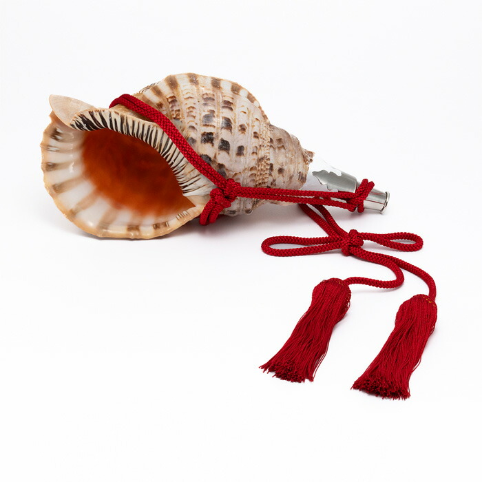 ＮＯ−４７ＳＲ 法螺貝、ホラ貝、和楽器、修験道 法螺貝 NO−54S ホラ貝、和楽器、和太鼓、修験道 法螺貝NO−62S