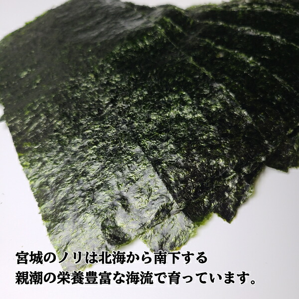 寿司の町 塩釜 焼海苔 のり ソムリエ厳選 半型海苔 200枚 宮城 ノリ 塩竃 今野商店 海苔 | antiguaboreal.com