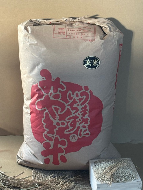 米 もち米 みやこがねもち 玄米 ３０Ｋｇ 令和６年度 宮城県産 送料無料　　　　　　　　　　　　　　　　　　　　　　　　　　　　　　　　　【沖縄・離島は別途は２０００円加算】【九州・北海道は別途６００円加算】