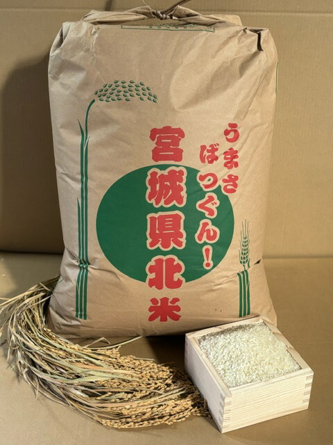 まとめて20kg くず米 鳥の餌などに 割れたお米 白米 精米機