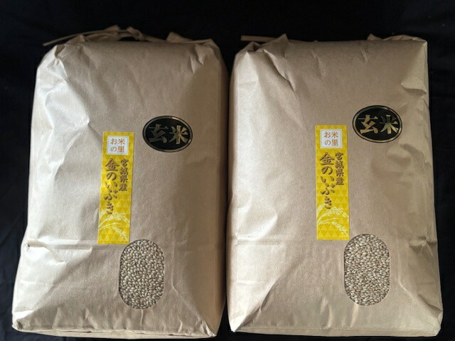 玄米 玄米食専用 （精米しないで玄米のまま炊飯）金のいぶき １０ｋｇ（５ｋｇ×２袋） 玄米食専用 令和６年度 宮城県産 美味しさ抜群 健康志向 栄養素豊富　　　【沖縄・離島は別途１０００円加算】【九州・北海道は別途送料６００】