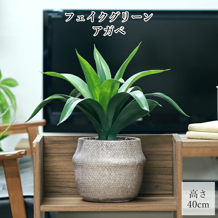 【クーポン配布中★お買い物マラソン4/4 20:00～4/10 1:59】 フェイクグリーン アガベ セメントポット 観葉植物 造花 おしゃれ 緑