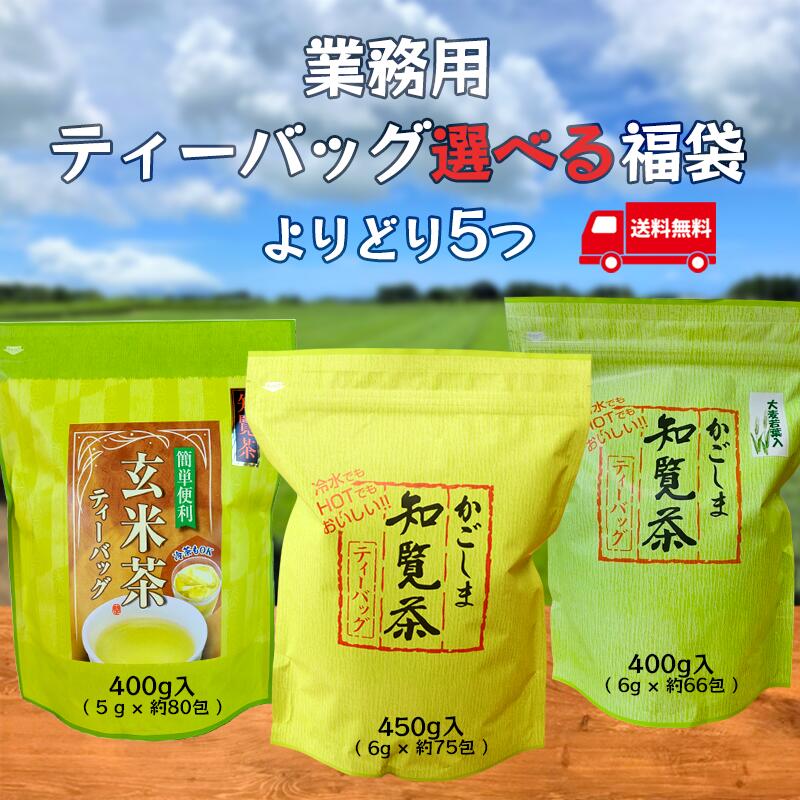 ティーバッグ福袋 よりどり５つ お茶 知覧茶 鹿児島 抹茶 入り 緑茶 日本茶 一番茶 深蒸し茶 がぶ飲み ティーパック ティーバッグ ティバッグ 宅配便配送 送料無料 大容量 業務用 お徳 お得 飲食店用 オフィス用 水筒用 日本茶 茶葉 ギフト 煎茶 国産 無添加 無着色 宮原園 6,864円