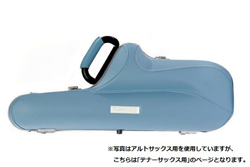 当店の記念日 4002SN ※送料無料 ケース バム bamマスク1枚プレゼント中